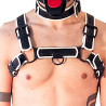 Brutus Harnais Puppy Harness  Noir-Blanc